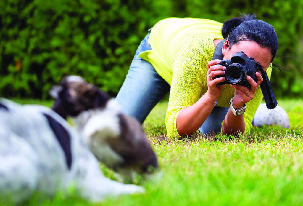 Capturing the perfect photo of your dog