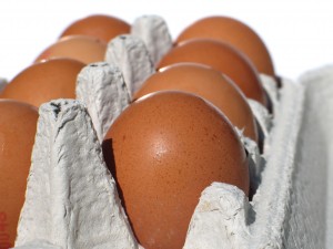 egg-carton