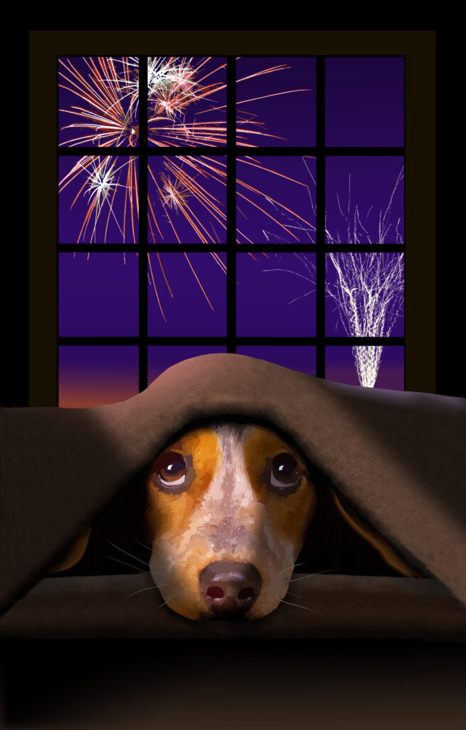 Fireworks can be very scary for dogs