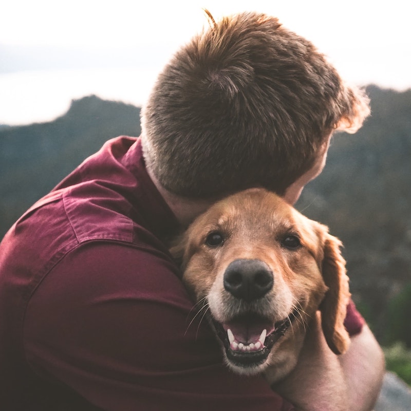 Hugs, kisses, tummy rubs and treats are a great way to show your pet you love them this Valentine's Day. 