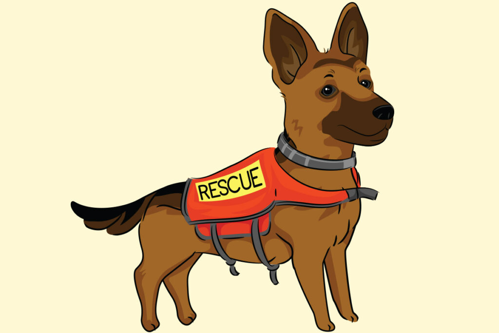 Search and Rescue dog cartoon image