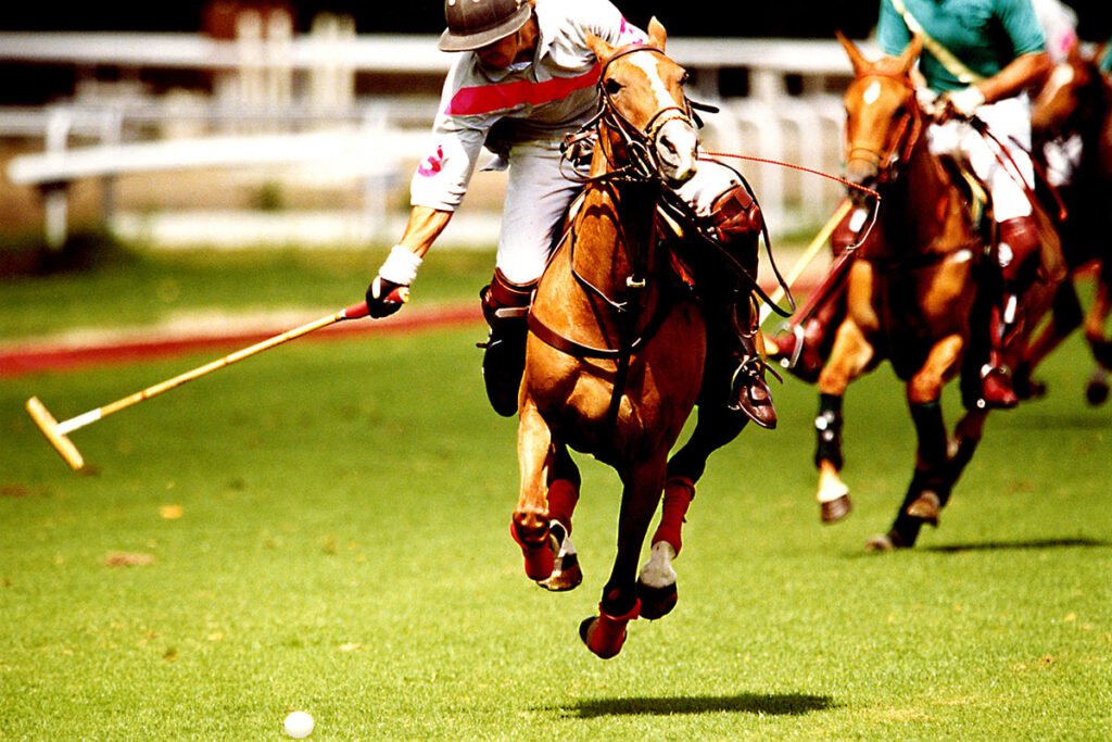 Playing polo