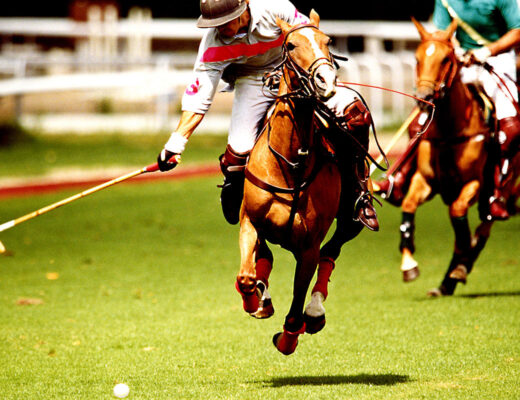 Horse and rider playing polo